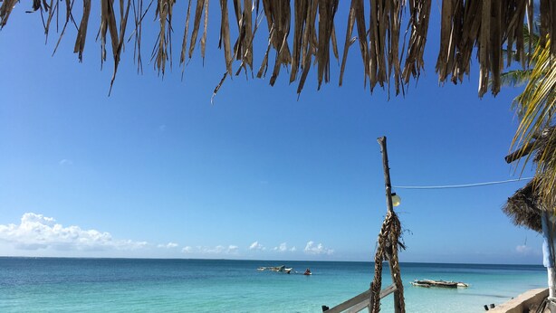 Ein Strand mit klarem türkisblauem Wasser, einer Holzbank und einem strohgedeckten Bau.