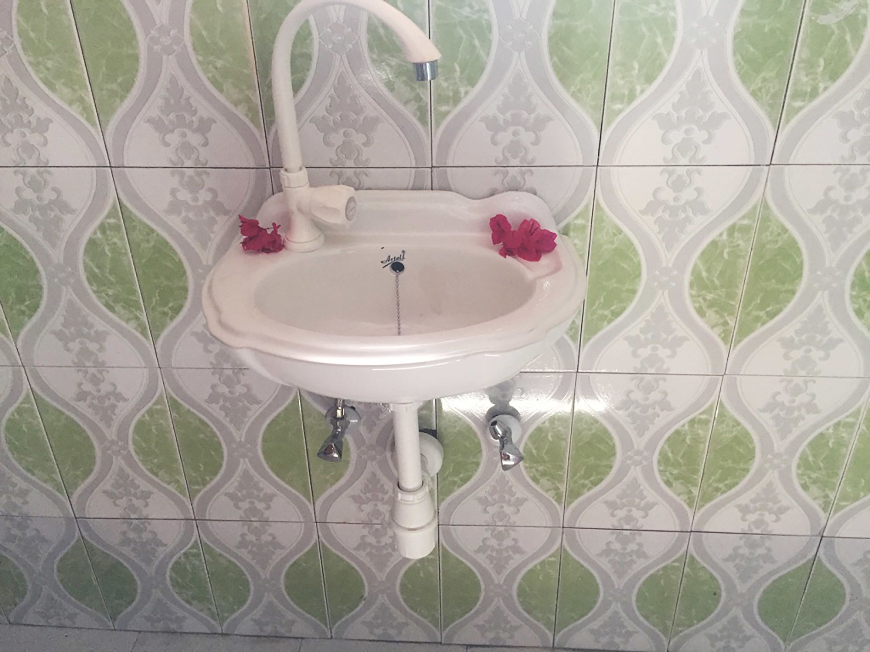 Foto - Mount Zion Lodge