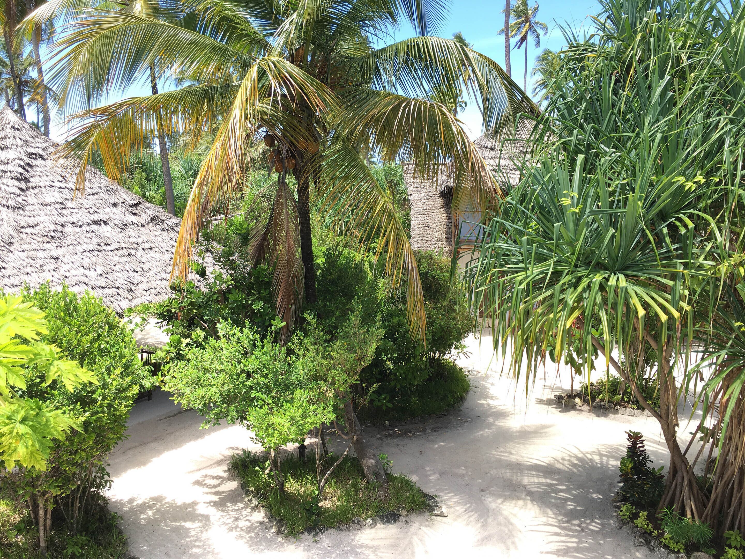 Foto - Mount Zion Lodge