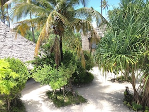 Ein tropischer Garten mit Palmen, einer strohgedeckten Struktur und einem Sandweg.