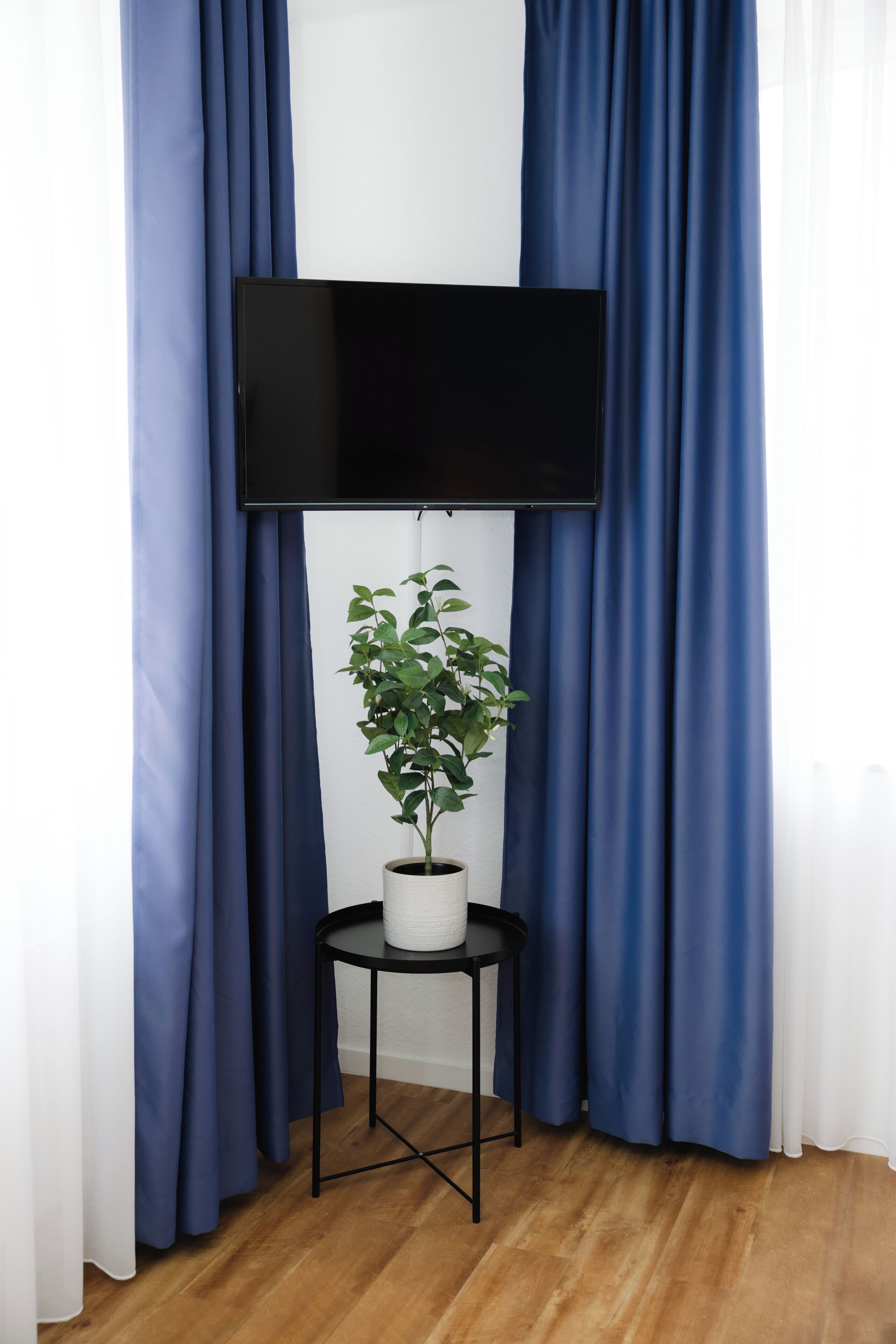Una habitación con una televisión de pantalla plana en la pared, una planta en maceta sobre una mesita y cortinas azules.