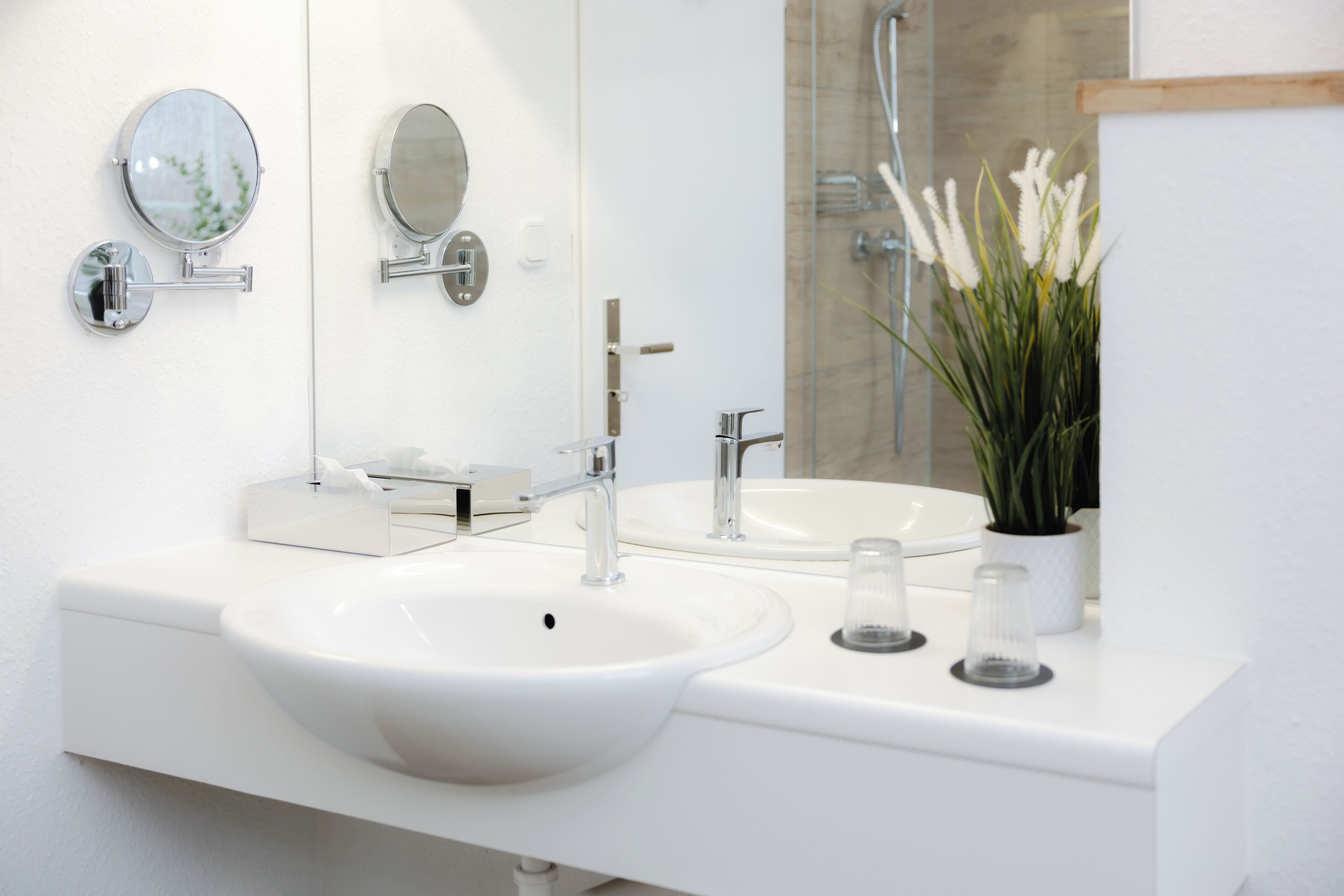 A modern bathroom with a white sink, two round mirrors, a glass shower enclosure, and a potted plant.