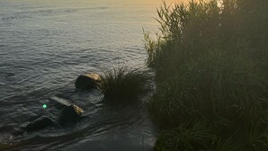 Un atardecer sobre un cuerpo de agua tranquilo con una orilla cubierta de hierba.