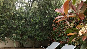 Two white lounge chairs on a wooden deck with a backdrop of dense foliage and a low wall.