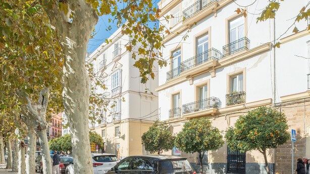 Una calle con edificios de varios pisos, coches estacionados y árboles con hojas verdes.