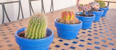 Jardines del alojamiento