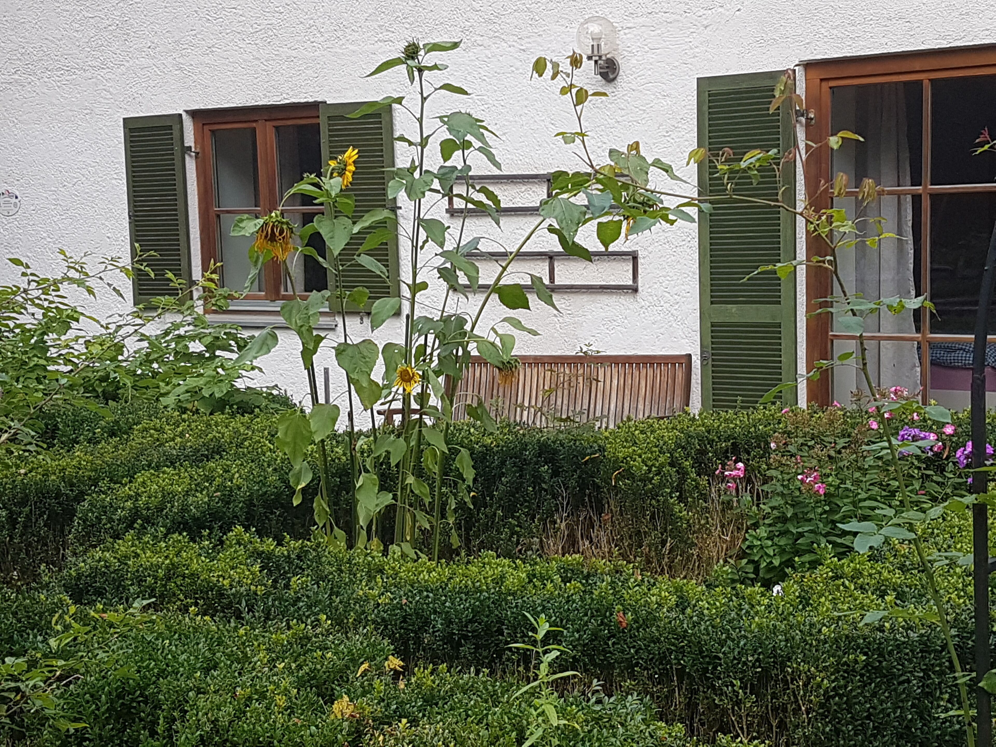 Ein weißes Gebäude mit grünen Fensterläden und einer hölzernen Bank.