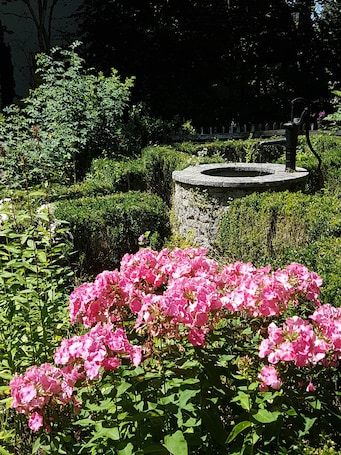 Garden. Martina's place