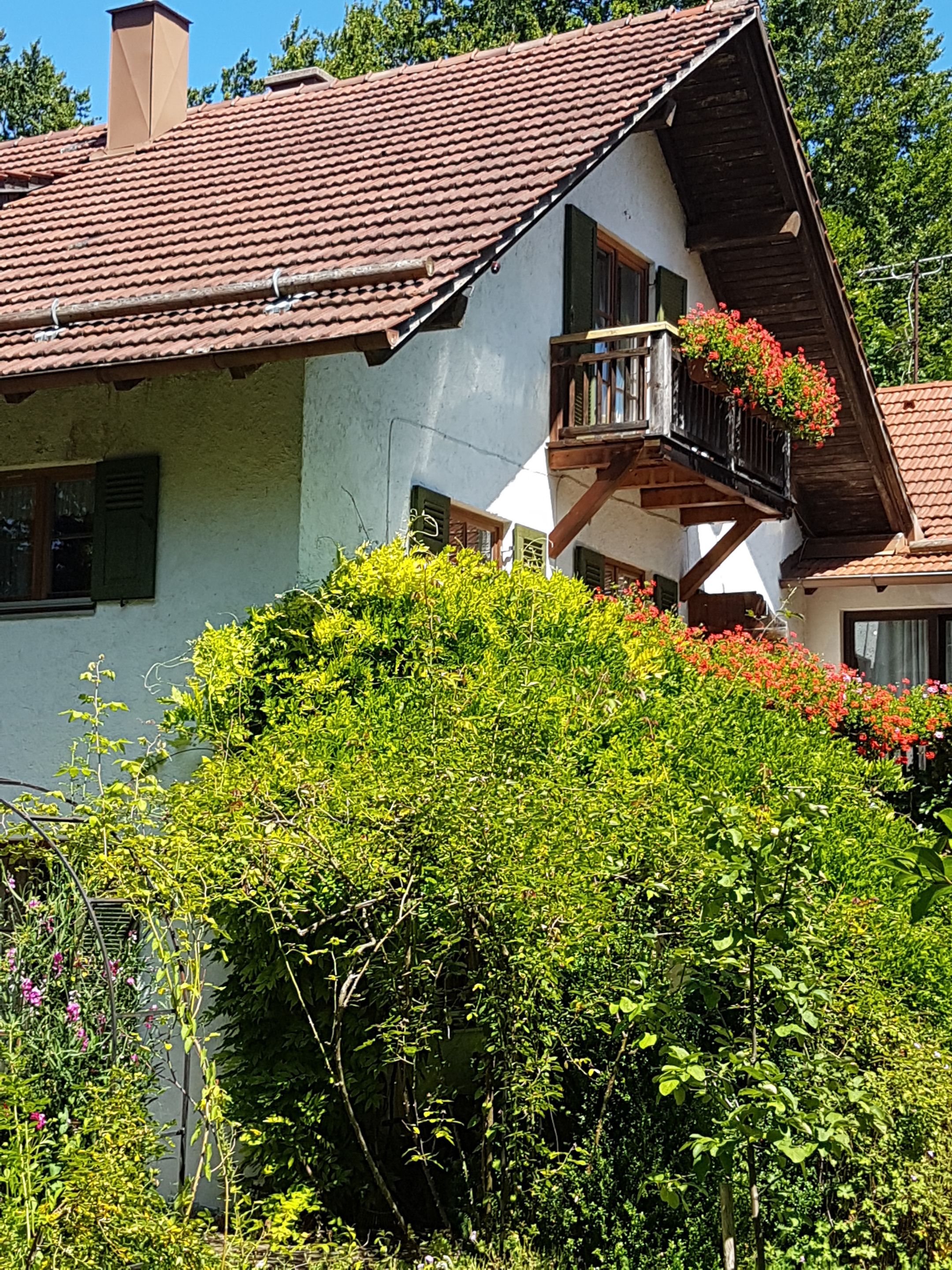Un chalet traditionnel doté d’un toit à pente, d’un balcon en bois orné de jardinières et d’une végétation luxuriante à l’avant.