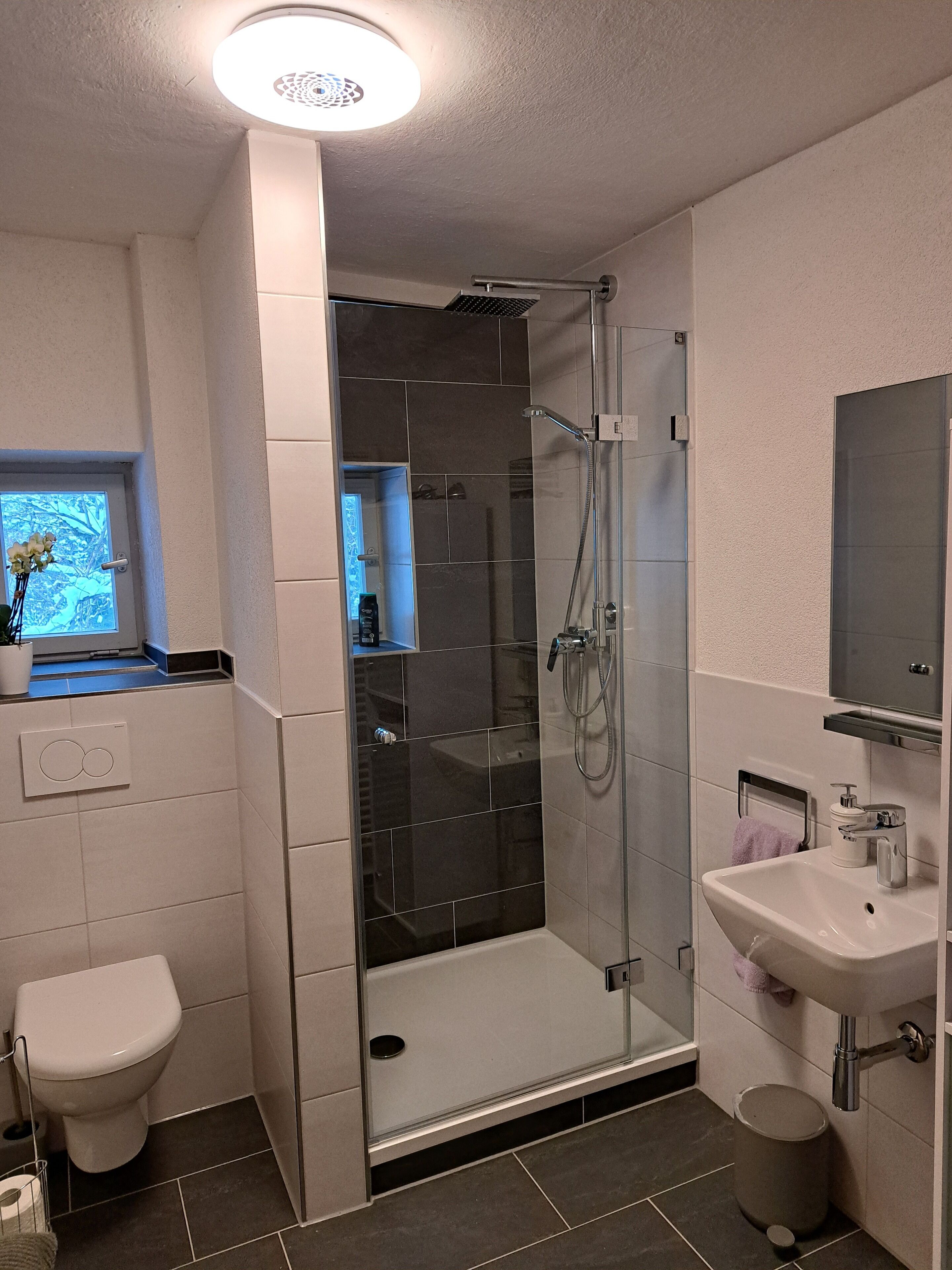 Une salle de bain moderne avec une douche à parois de verre, des toilettes blanches et un lavabo avec un miroir au-dessus.