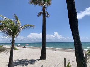 A beach with palm trees, a wooden fence, and a clear blue sky.