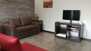 Televisión, libros, videoteca y estéreo 