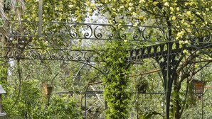 Un jardin agrémenté d’une clôture en fer forgé, de meubles en osier et de plantes en pot.