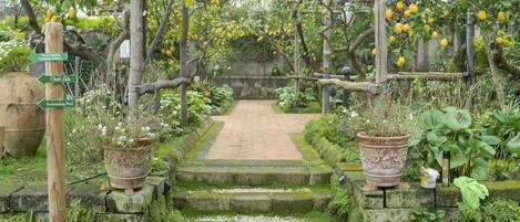 Áreas de la propiedad