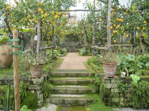 Áreas de la propiedad