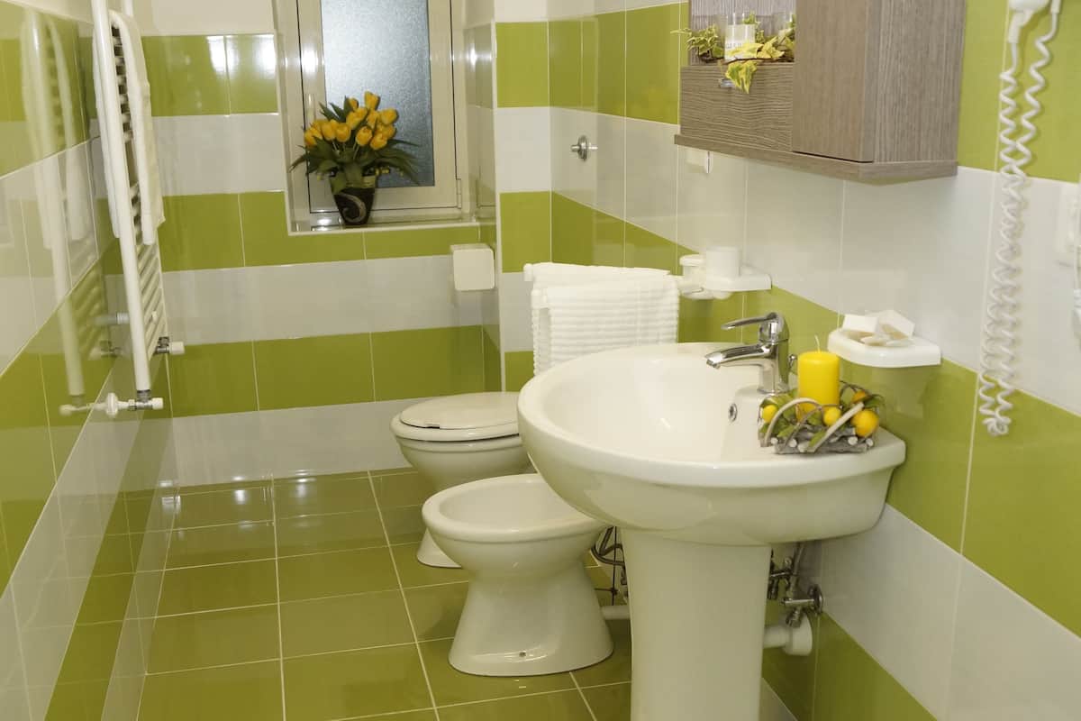 shower, rainfall showerhead, free toiletries, hair dryer