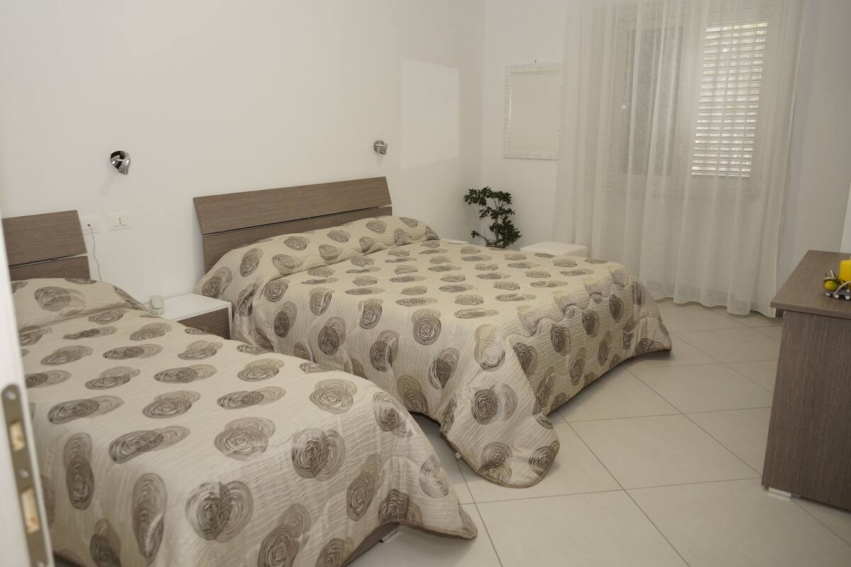 A hotel room with two beds, a small desk, a plant, and a window with sheer curtains.