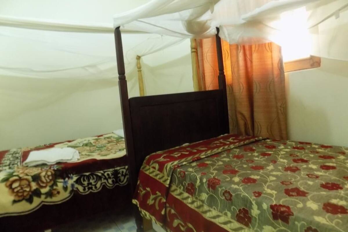 Single Room, 1 Twin Bed, Non Smoking | Individually decorated, individually furnished, bed sheets