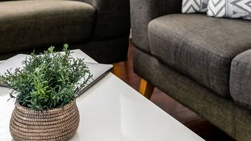 Een smart-tv, een dvd-speler, boeken en een muziekbibliotheek