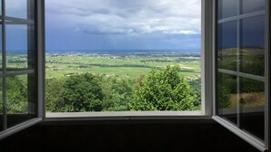 Una ventana con vista a un paisaje verde y un cielo nublado.
