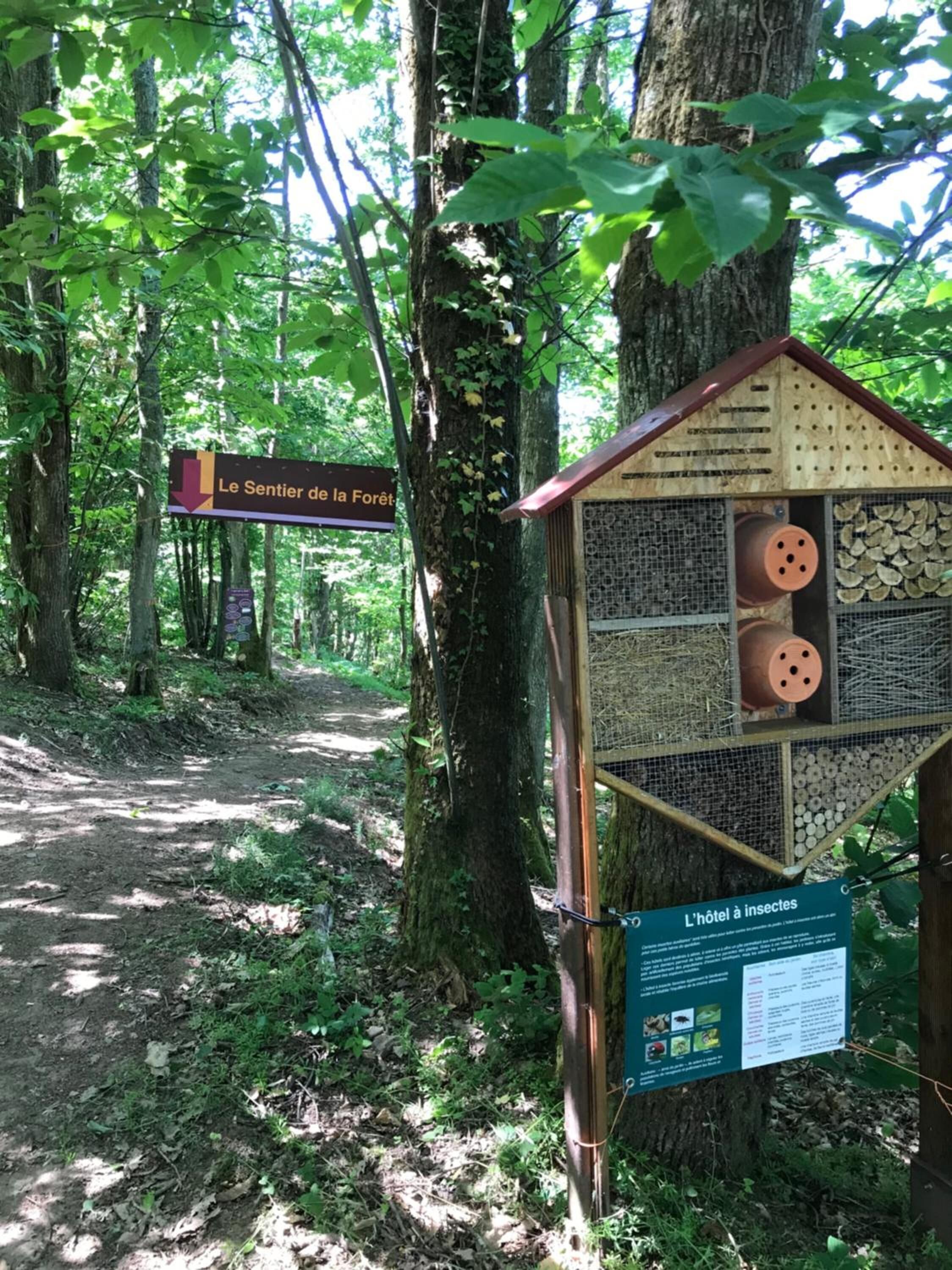Une structure en bois sur laquelle est apposée une pancarte indiquant « Le Sentier de la Forêt » et une autre pancarte indiquant « L’hôtel à insectes ».
