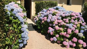 Un sendero bordeado por vibrantes arbustos de hortensia en tonos azul y rosa que conduce a una casa de fachada color beige y puerta visible.