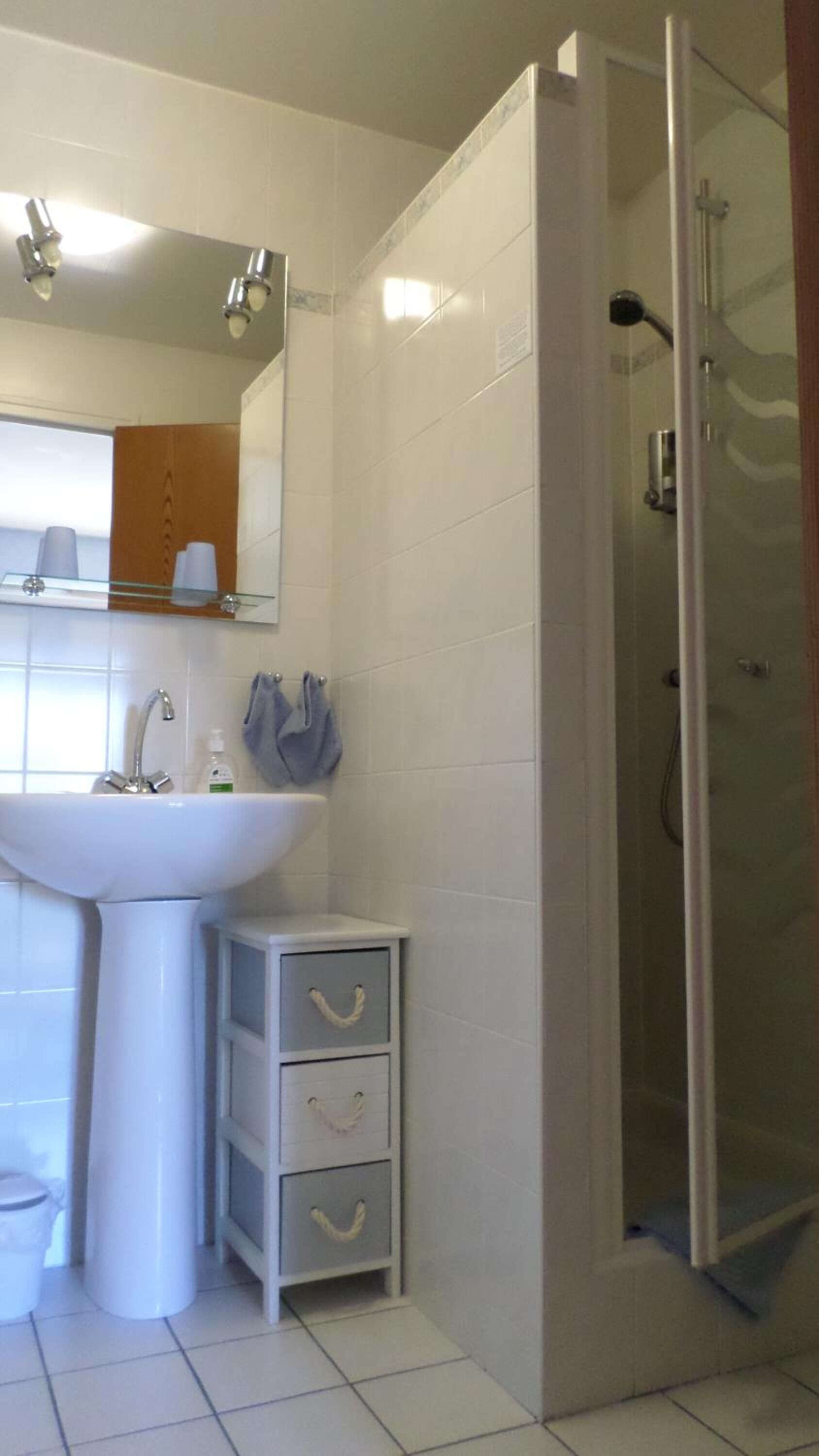 Une salle de bain avec un lavabo blanc, un miroir et une cabine de douche en verre.