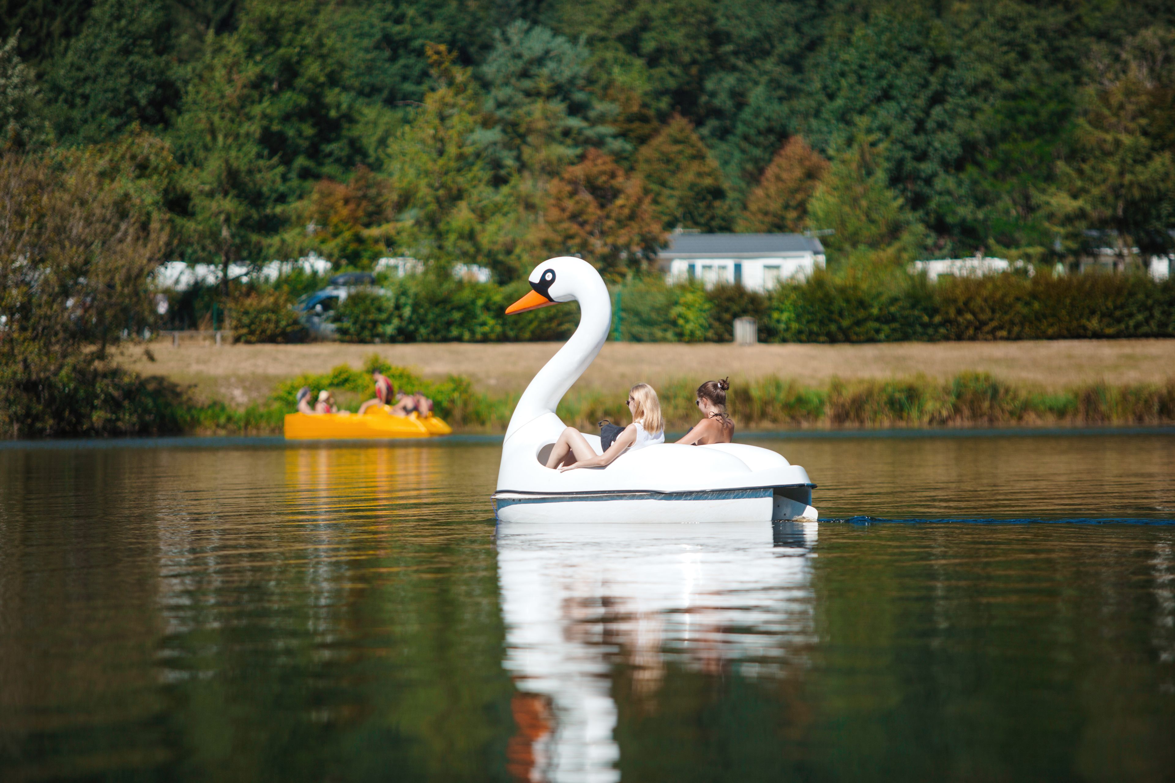 Un bateau en forme de cygne avec deux personnes à bord.