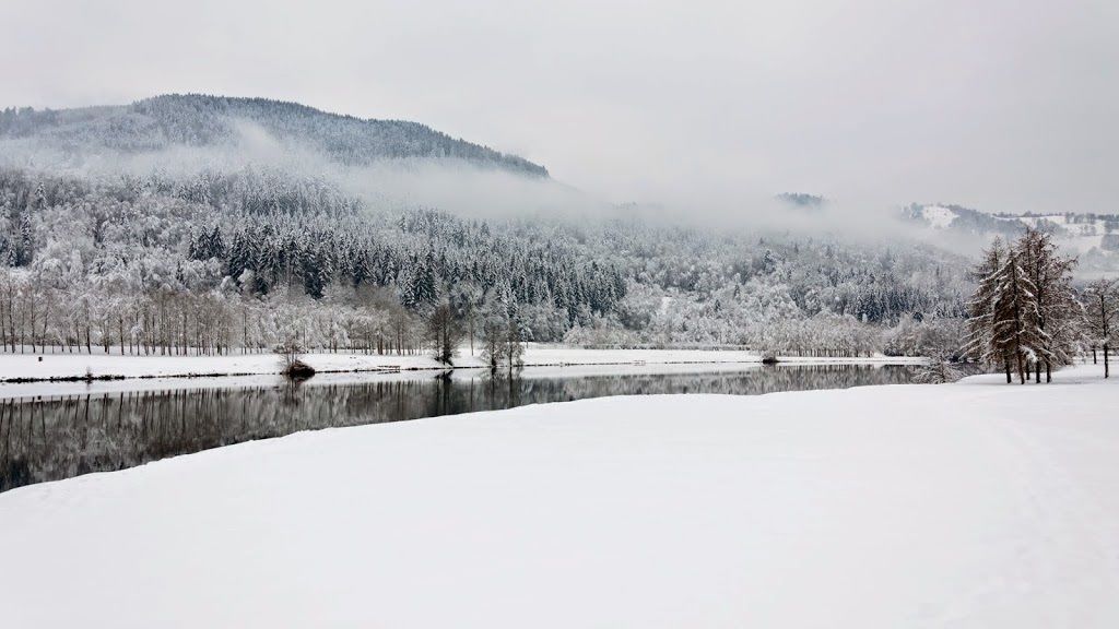 A snow-covered landscape with a river, trees, and a hill in the background.
