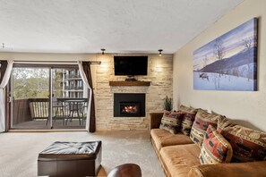 Smart TV, fireplace, DVD player, books