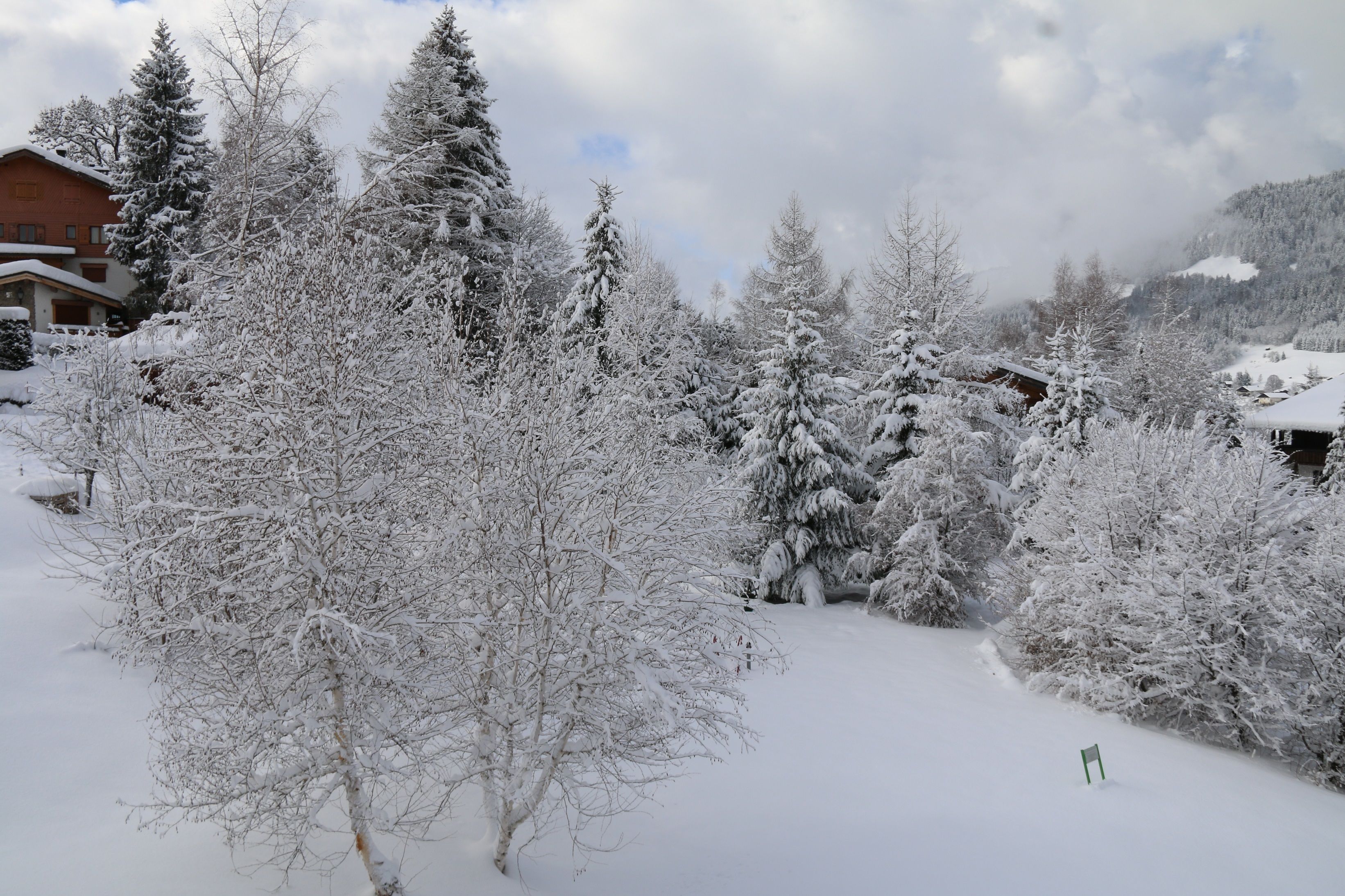 A snow-covered landscape with trees and buildings.