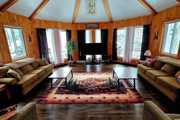 Télévision, cheminée, lecteur de DVD, chaßne hi-fi