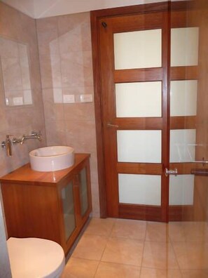 Chuveiro, secador de cabelo, toalhas de banho, shampoo