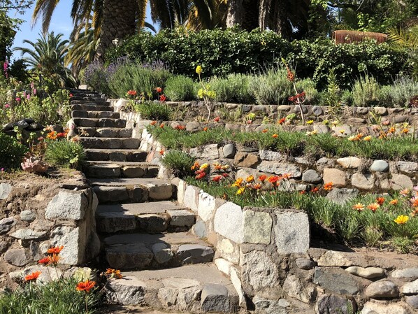 Overnattingsstedets uteområder