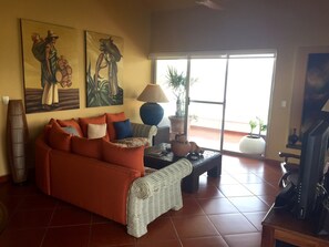 Televisión, reproductor de DVD, libros y biblioteca musical