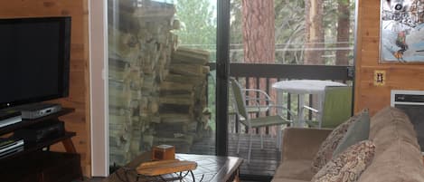 Televisión, chimenea, reproductor de DVD, mesa de ping pong