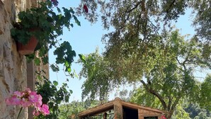 Un edificio de piedra con puerta de madera, rodeado de macetas con plantas y flores.