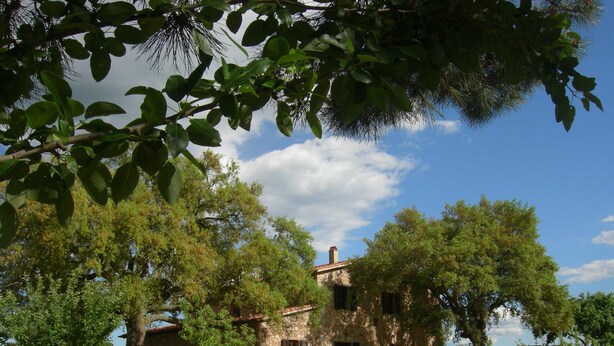 Una casa de piedra con aspecto rústico, rodeada de árboles y un muro de piedra.