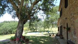 Un patio con un árbol grande, mesas al aire libre y un edificio de piedra con arcos.