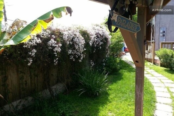 Jasmine flowers for the the first few months of the year.