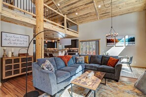 Télévision, cheminée, lecteur de DVD, livres