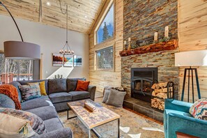 Télévision, cheminée, lecteur de DVD, livres