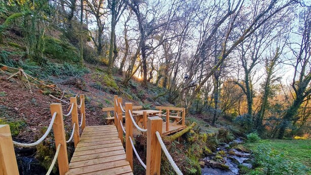 A wooden bridge with rope railings over a stream in a forested area.