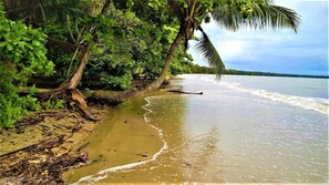 Sun-loungers, beach towels - Apartment 11 @ Hibiscus Gardens & Spa Resort (Port Douglas)