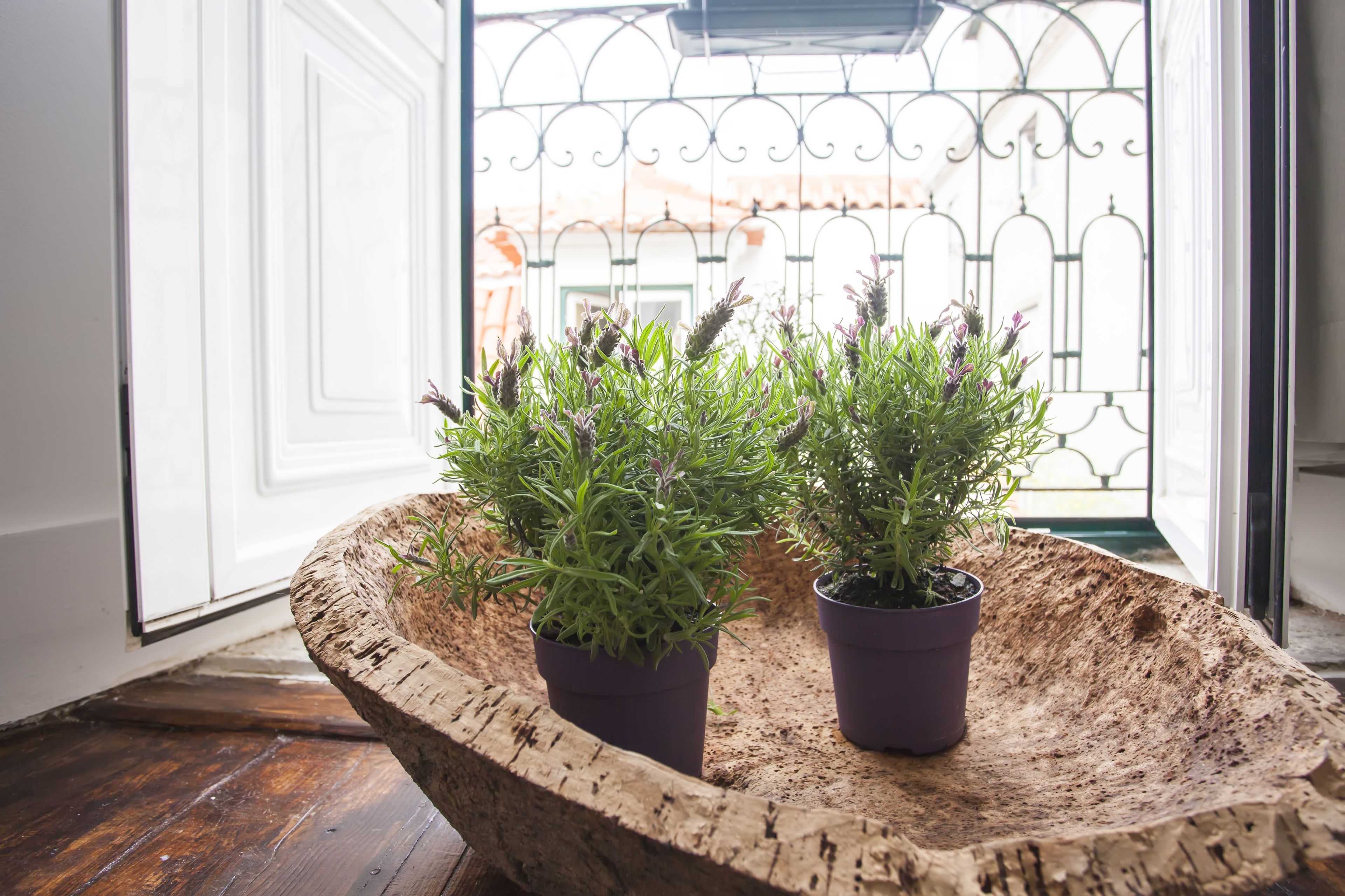 Foto - Lisbon Inn Bica Suites