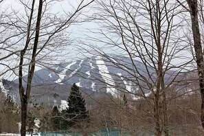 Imagen sin descripción, 4 de 7, botón