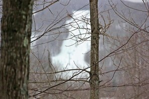 Unclassified image, 2 of 7, button