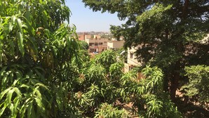 Vista da propriedade