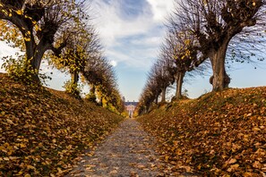 A pathway flanked by leaf-covered trees leading to a building. -  5 ***** luxury indoor pool villa, 28 °, 60 sqm roof terrace, 390 sqm living space (Groß Schwansee)