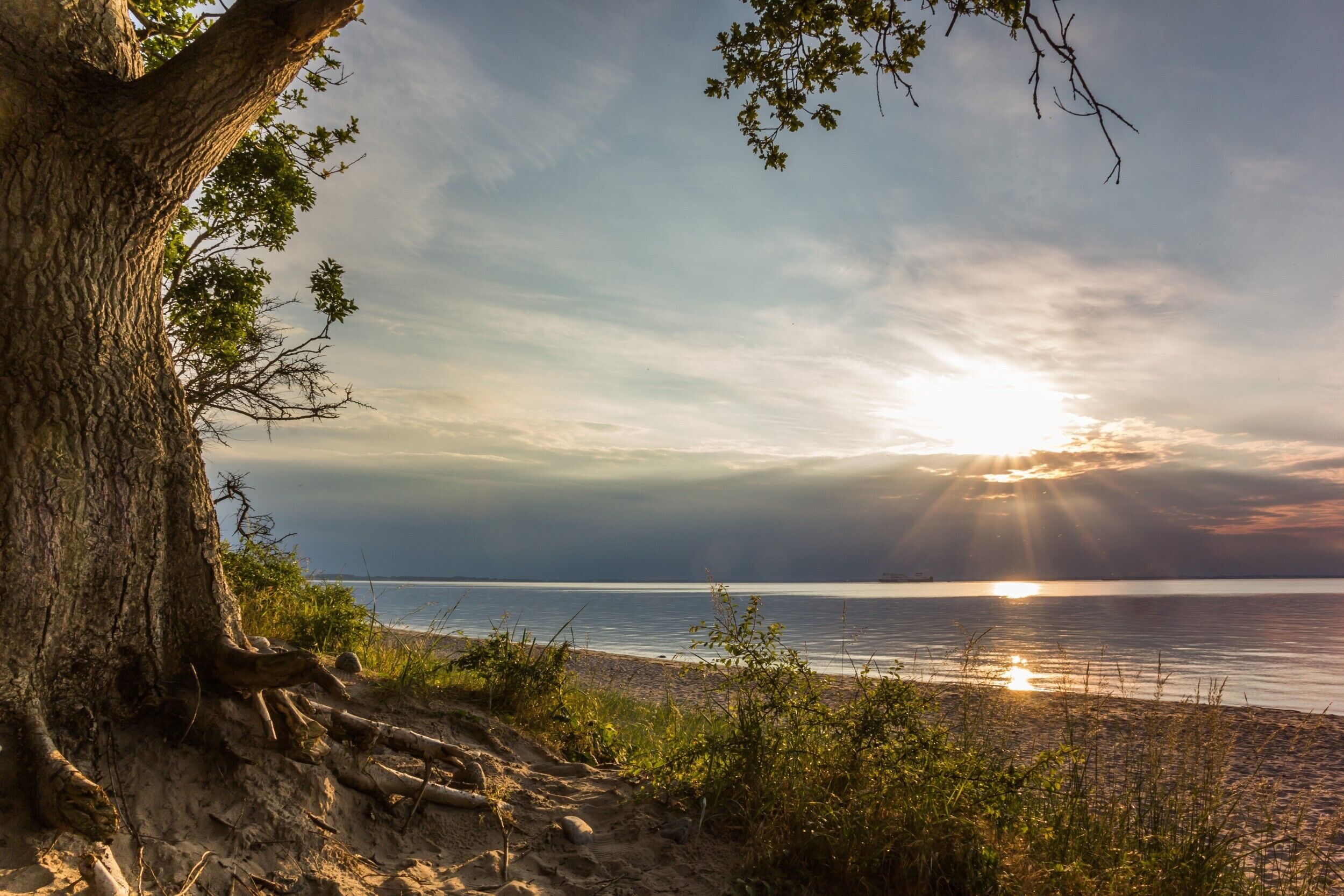 在海灘附近、躺椅、沙灘巾